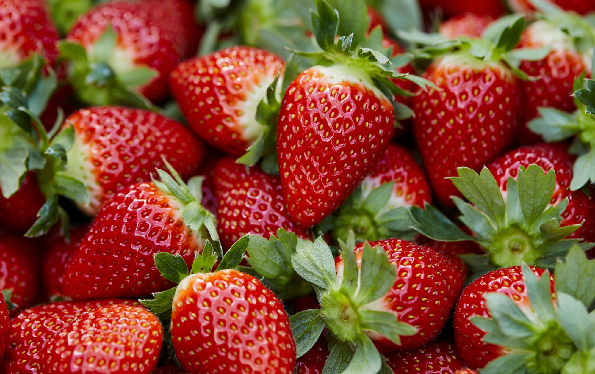 【松戸店】いちご食べ放題!?🍓