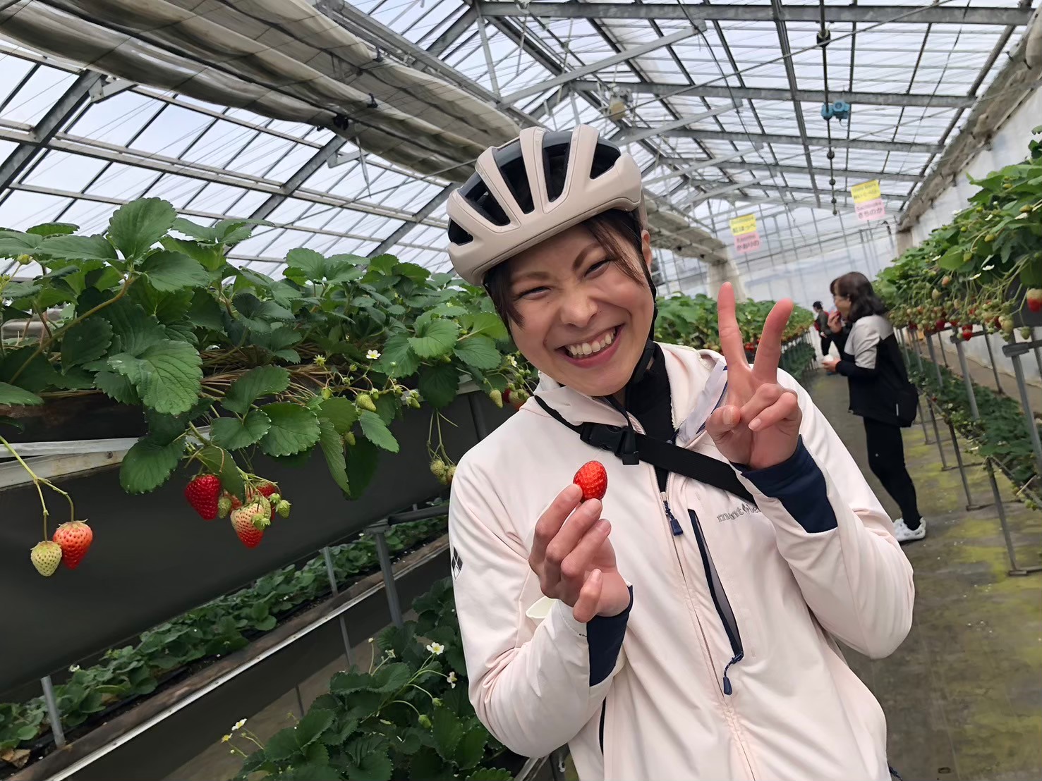イチゴの季節はサイクリングと一緒に食そう！！